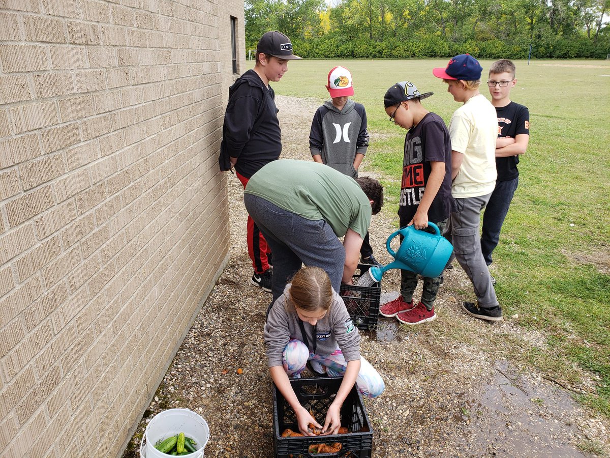 ReganBuckingham's tweet photo. Our class was out harvesting our garden box we planted last spring! https://t.co/fymXh5AKmL