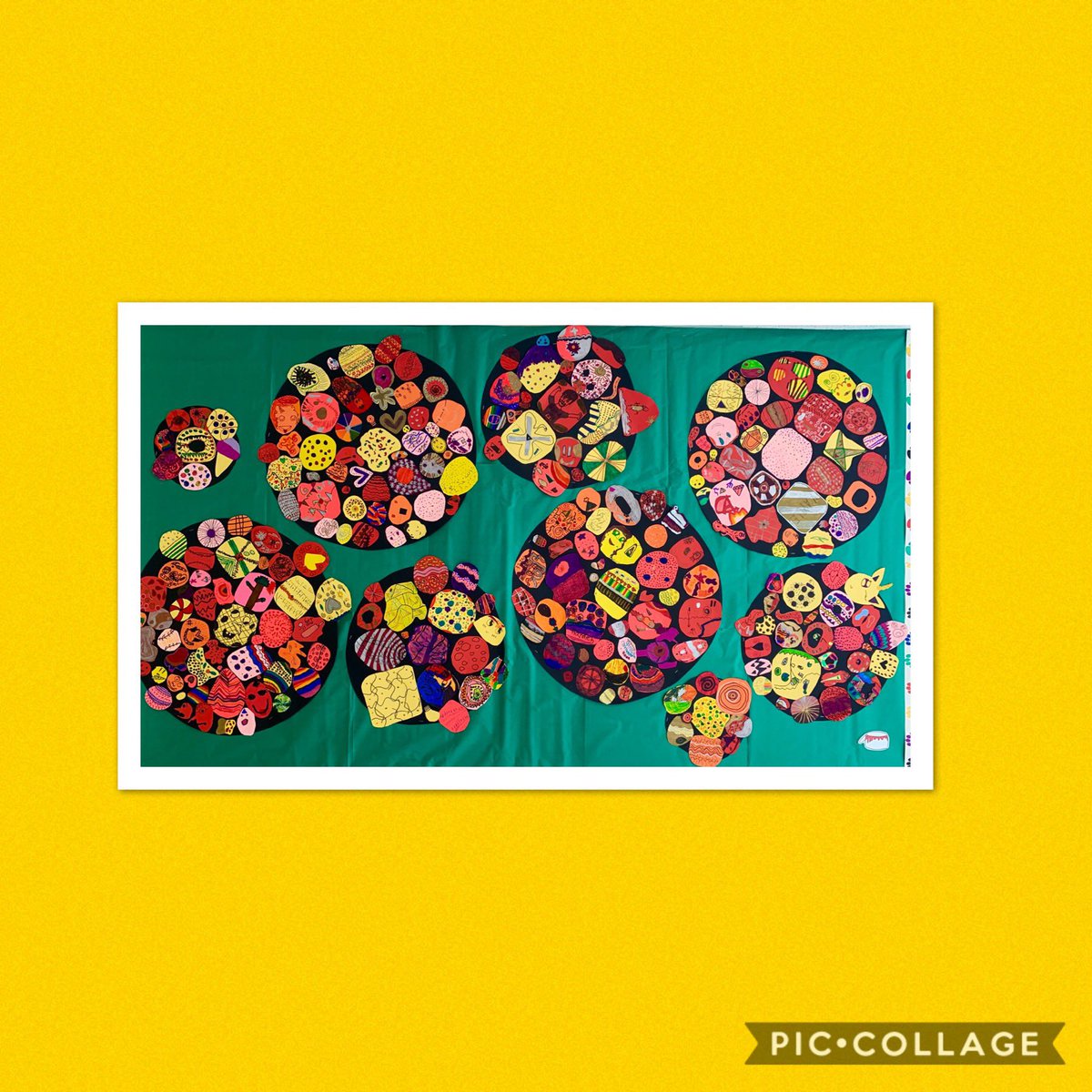 sepigol's tweet photo. All the dots are up on the walls!!! #internationaldotday @peterhreynolds @leaandersonart #artteachersofinstagram #art and #creativity #elementaryartteacher #arteducation  @liljalions @natickps https://t.co/i1SMWlNUfA
