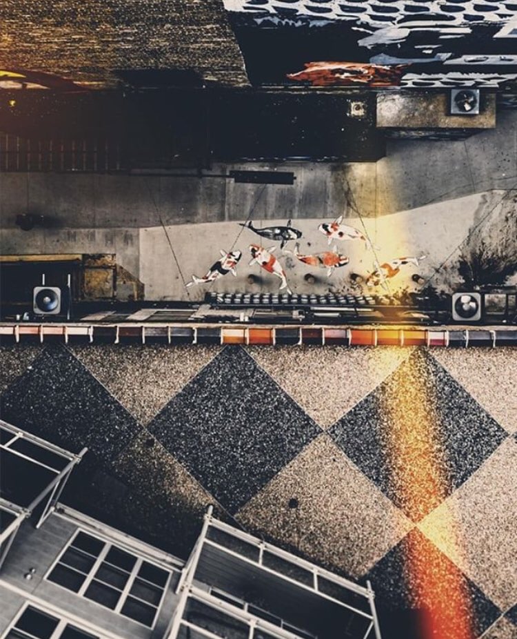 DearMKE's tweet image. Just keep swimming.
📷: @socialcandycreatives 
#dearmke