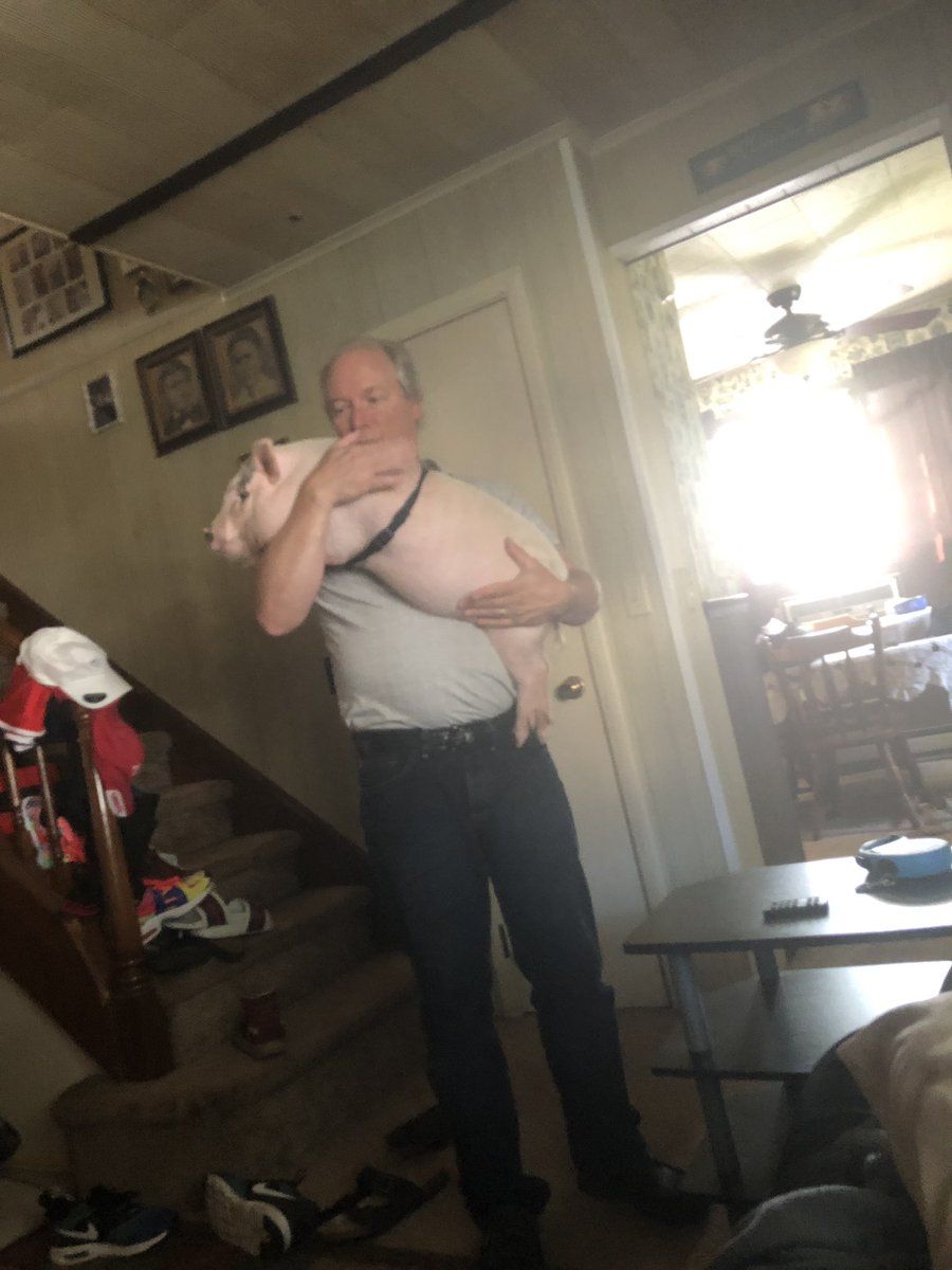 MattSchmall's tweet image. My mom said 100k retweets and we can get another pig. Look how happy my dad is with one pig. Imagine if we had two!! #DoItForDave