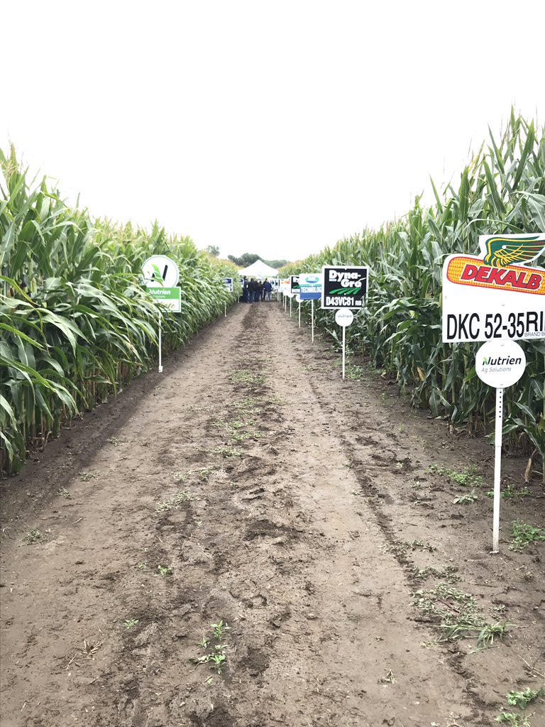 Ed Garber tweet media