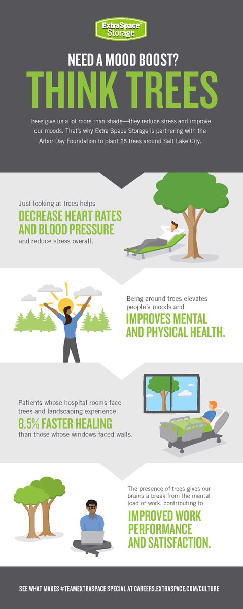 extraspace's tweet image. Check out this infographic on how trees can help boost your mood! 🌳 With our partnership with @arborday, we&apos;re excited to help make a difference.

#TeamExtraSpace #environment #timefortrees