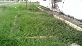 INSPECCIÓN PARA FUTURA PLANTACIÓN EN LA ESTACIÓN PISCICOLA
