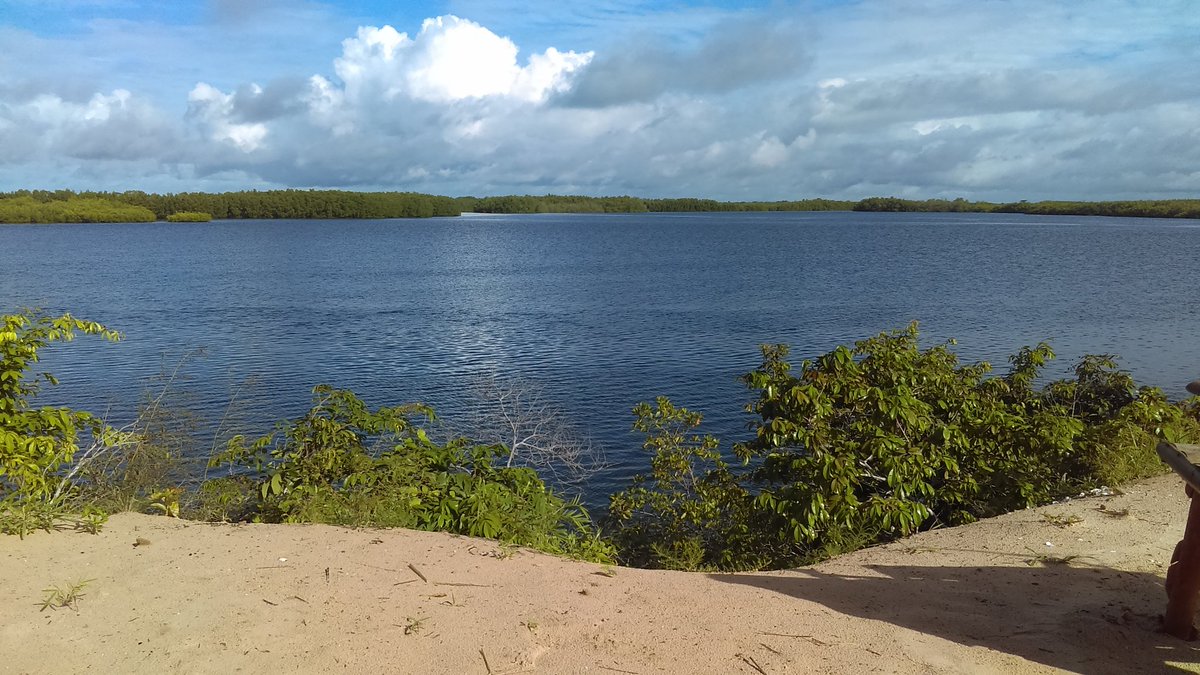 #Saloum island
Nice place
<a href="/Ajges01/">Jeunes géologues et environnementalistes Sn(AJGES)</a> <a href="/rodompcl/">Doro NIANG</a>