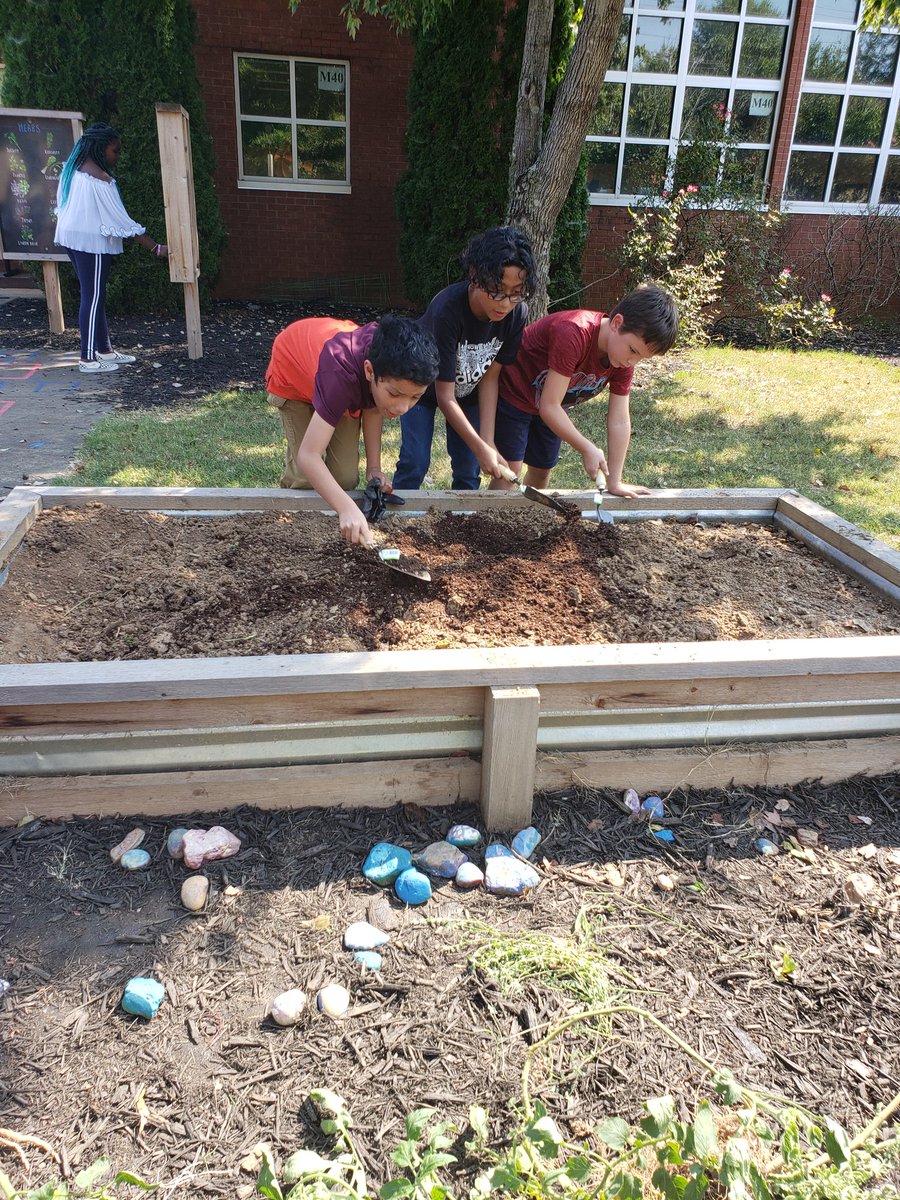 MrsMorris_AES's tweet photo. Students working hard out in this heat to prepare the flowerbeds of our garden!!! @Team_AcworthES @OutTeachEd_SE @payneSTEMlab #gettingdirtyisfun #realworldlearning https://t.co/gvDIEjmtjh