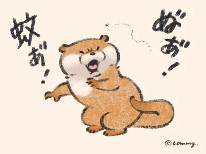 くわれないの
#カワウソ 