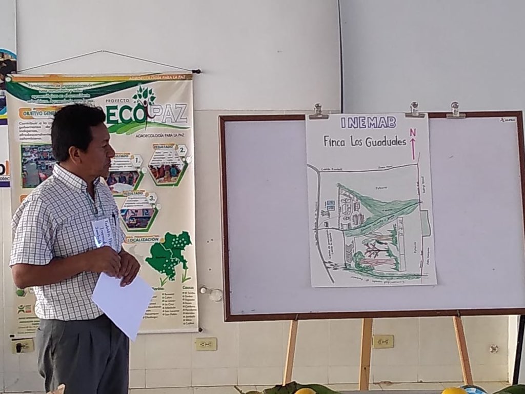 Somos Hoja de Ruta tweet media