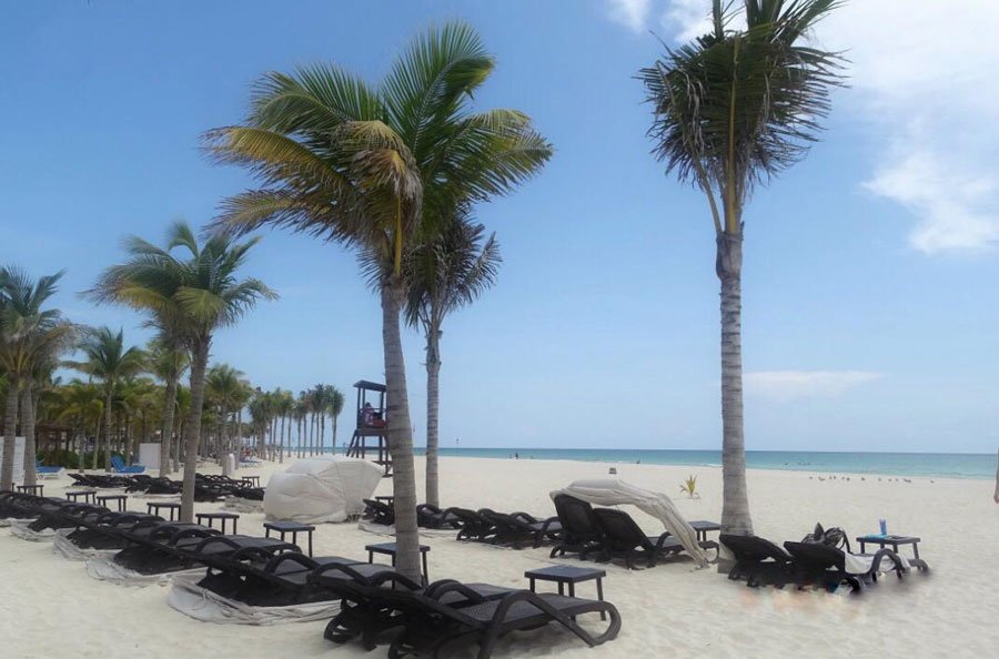 MarcoBeteta's tweet image. En el Festival Gourmet Bacerló visitamos el Hotel Royal Hideaway, donde disfrutamos de una paella preparada por el chef Alejandro Sanchez, además de una cena de 7 tiempos en el restaurante del complejo. #ComunidadMB #FestivalGourmetBarcelo #BarceloExperience #BeBarceloMaya