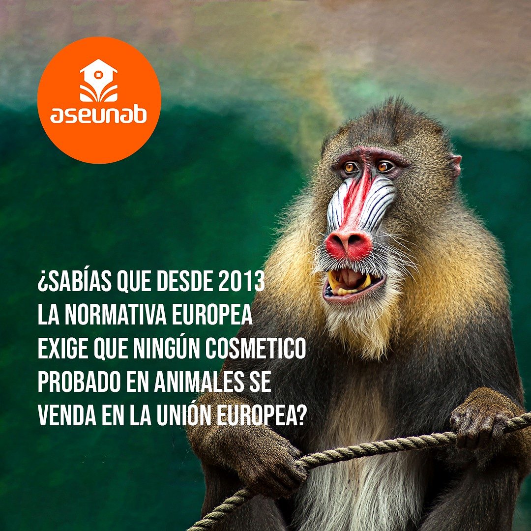 ASEUNAB's tweet image. Se ha dicho acerca del abuso de las industrias a la integridad de los animales y los humanos. Nuestro evento institucional abre el espacio para hablar de este problema que usó la ciencia como excusa.
Inscríbete aquí
➡ bit.ly/2FqqJBT ⬅