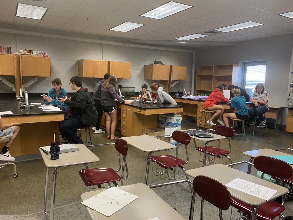 Mrs. Miller tweet media