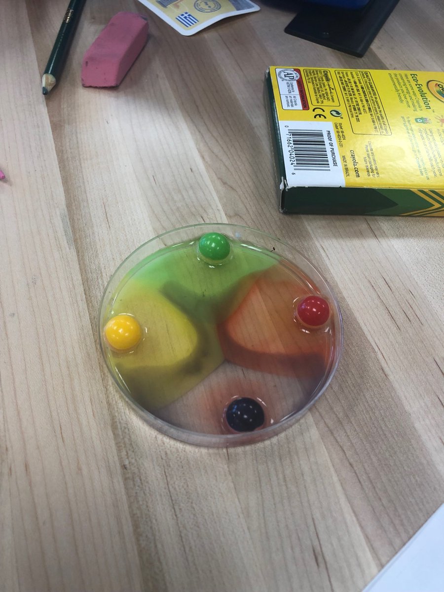 TrishBorgen's tweet photo. Ss practicing their inquiry skills! Intense observations and critical thinking happening in our room! #onlyatPC ⁦@PineCrestSch⁩ https://t.co/mgzEQ5Y2oU