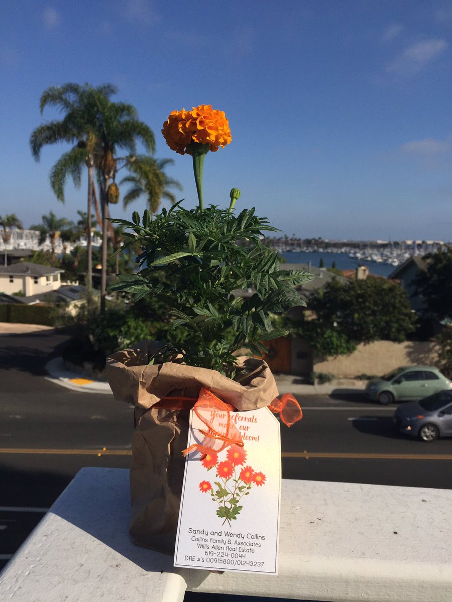 ilbnr's tweet photo. Home is... where the boat is ;)  Thank you for bringing us home @pointlomahomes 🛥♥️⚓️ #PtLoma #SWYC #lovewhereyoulive https://t.co/SZXDa1SEsd
