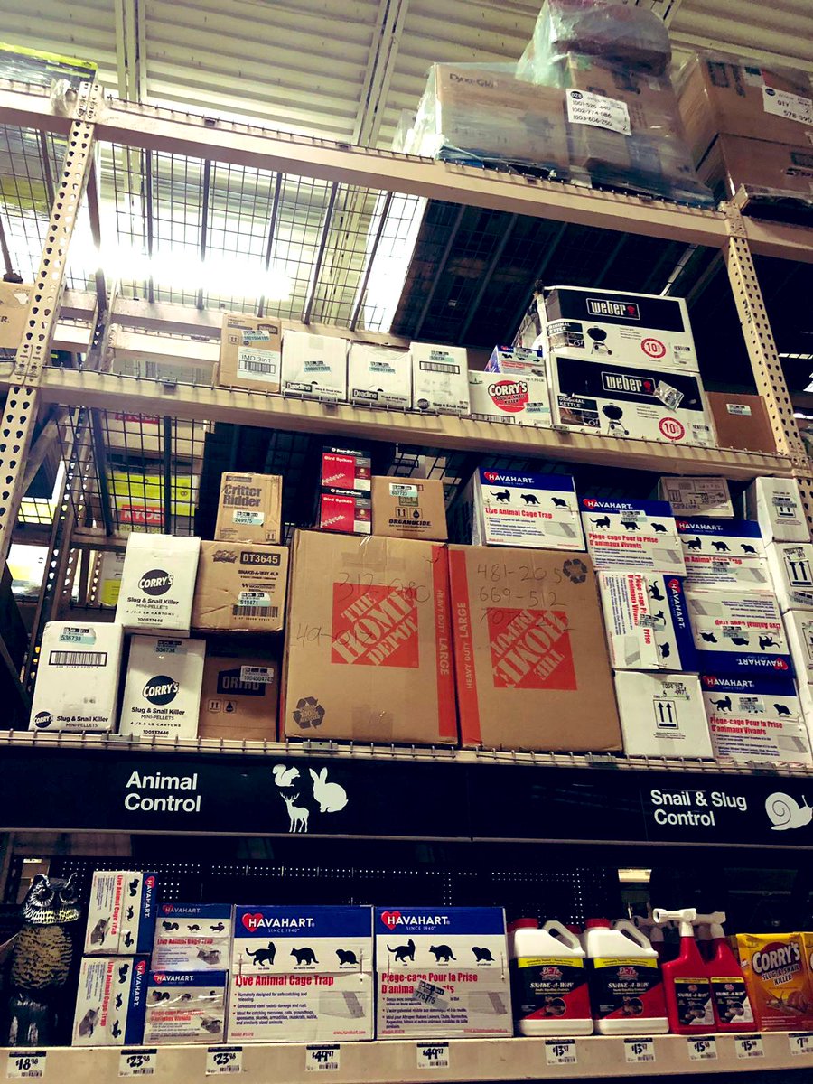 FrancesSalgado5's tweet photo. Gr8 beforeβs and after! Thank you Alex and team 206 for the awesome #overheadorganization and #BDP ππ»ππ»ππ» #customerswin #1REGIONSFL @JacobRobertsTHD @wcork19 https://t.co/IoiUuwByZ1