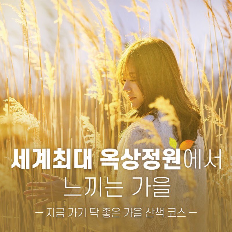withyou3542's tweet photo. 세종시의 핫플레이스! 
정부세종청사 옥상정원이 개방되었습니다!🍂🍁

오늘부터 누구나, 쉽게, 언제든지 관람할 수 있게 되었는데요!
기네스북에도 등재된 세계 최대 규모의 옥상정원에서
가을 추억을 남겨보세요!🍁🥰😊 https://t.co/FoN9xgWZ8C