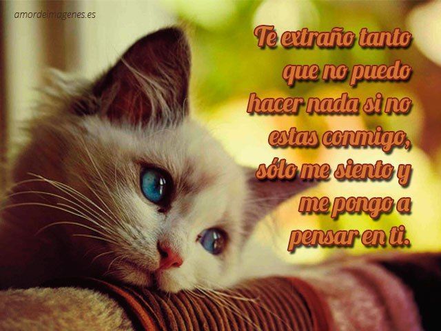 Daramor on Twitter: Daramor on Twitter: