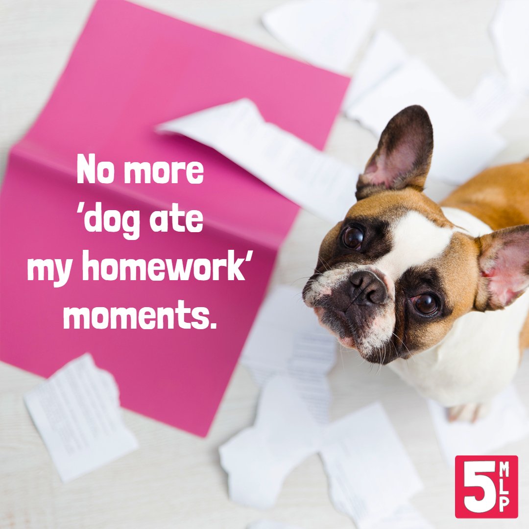 5MinutePlan's tweet image. It saves your work as you go! 🐶😀 

#PlanningPanic over! 🤗

#Education