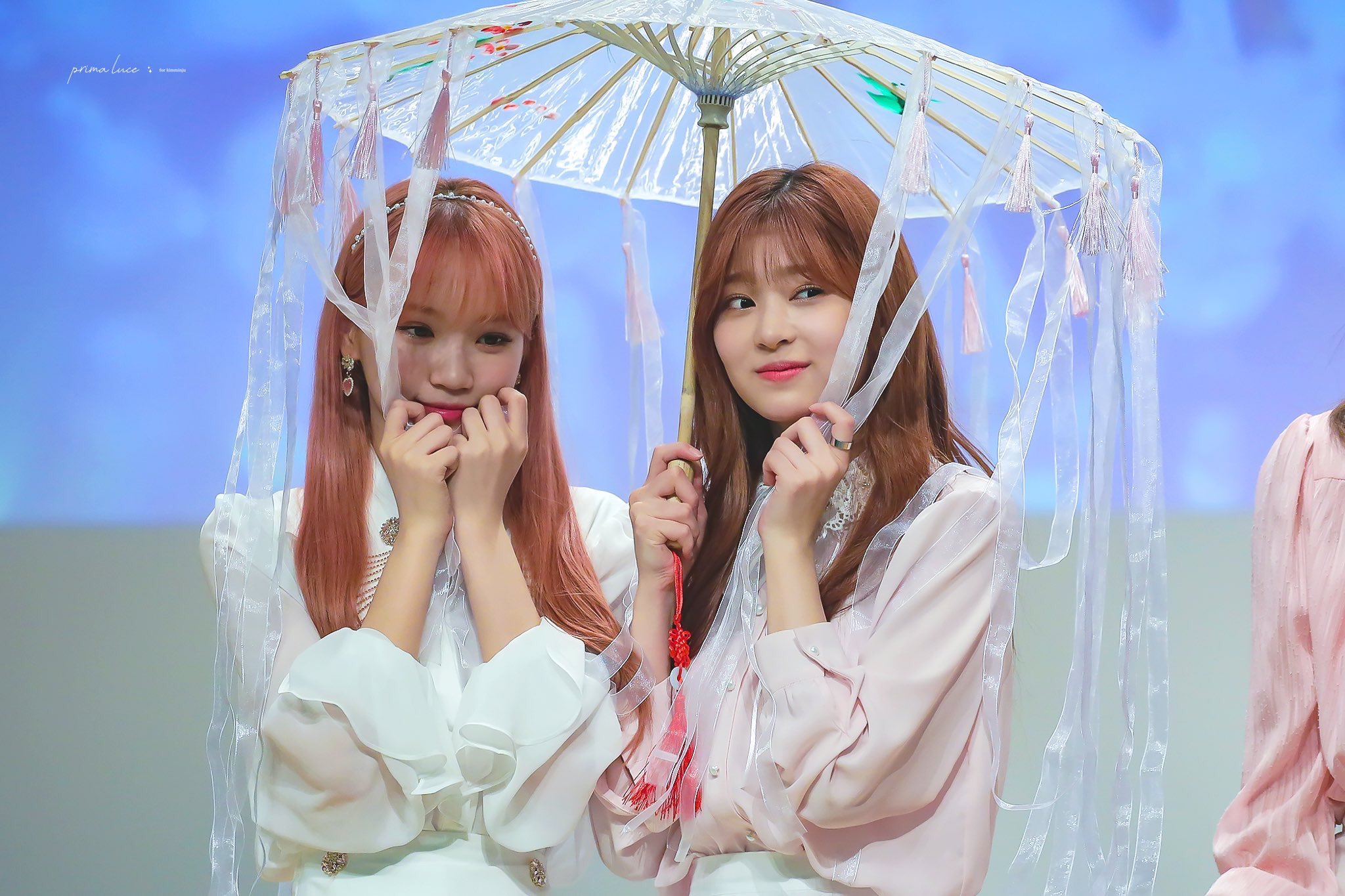 EETmC07U4AIyKj0?format=jpg&name=4096x409