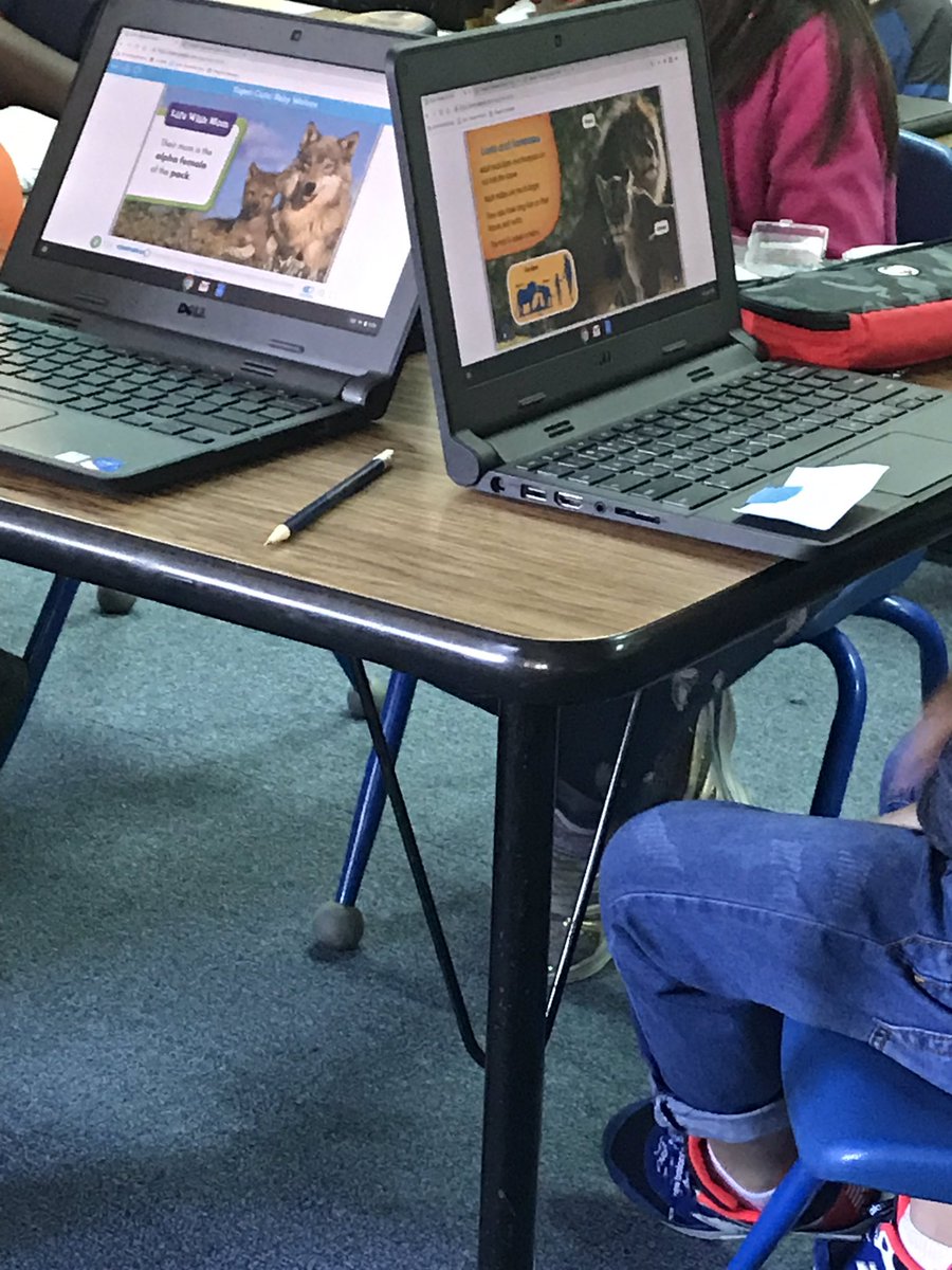 itsDrMartin's tweet image. Incredibly proud of the scholars today; they earned their first #Readerpillar badge (from @EpicKidsBooks)!!! Also, a couple got a step closer to coding! They shared their #voice as they demonstrate their proficiency for our standard this week; using @flipgrid!