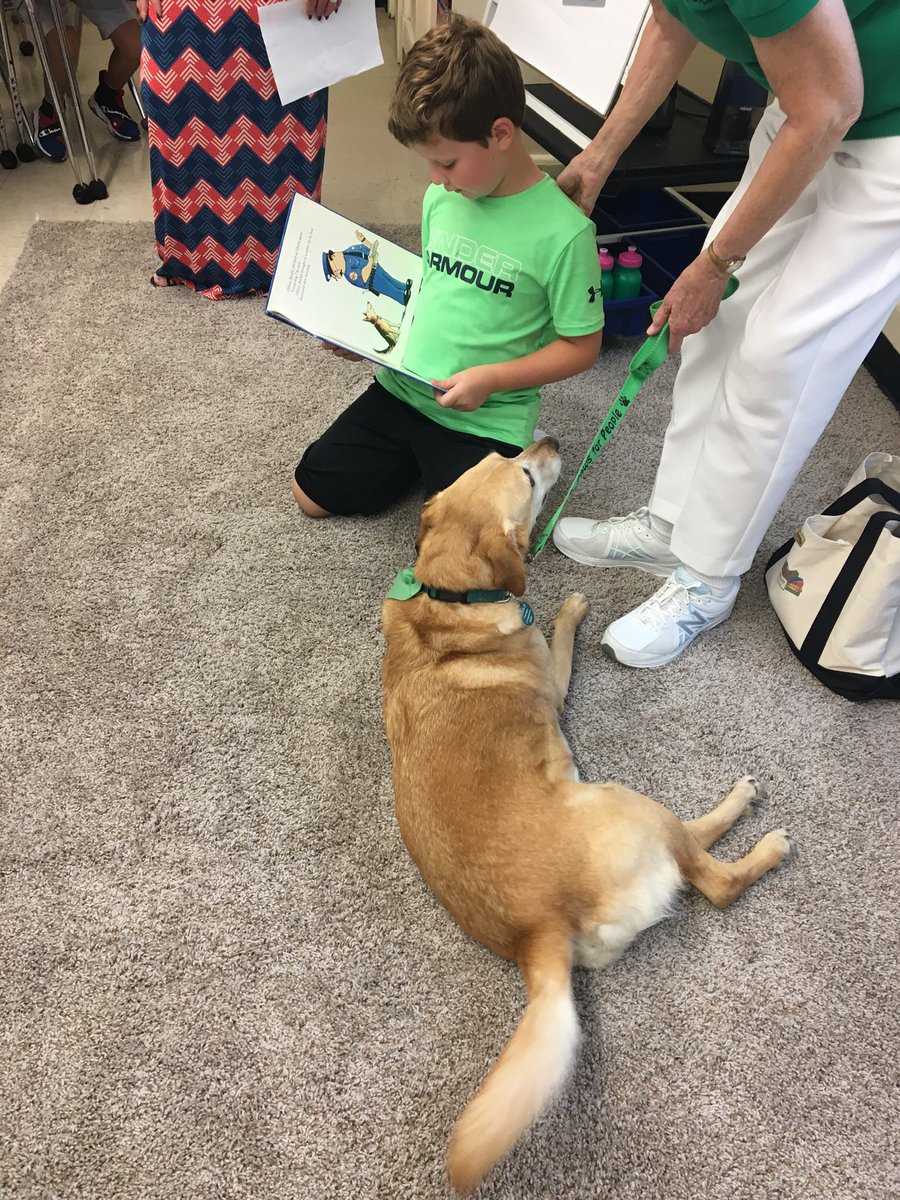 Nicole_Somers_'s tweet photo. Look who visited our classroom yesterday! It’s Lily from Paws for People! The kids all got to pet her and one lucky student read her a book. #Pawsforpeople #bettertogether #fredstrong https://t.co/KfbhGzWxx1
