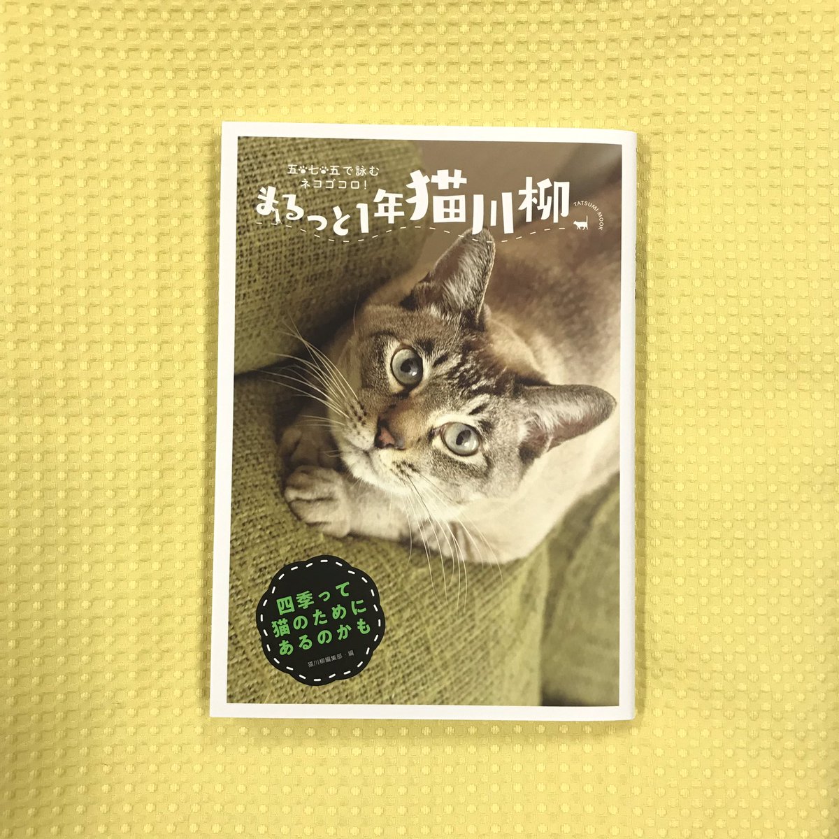 猫びより まるっと1年 猫川柳 本日発売です 忙しく過ごす1年 あっという間に過ぎる季節 もっと 猫 のようにゆるりと楽しみませんか 川柳 お写真のたくさんのご応募も ありがとうございました 猫川柳新刊 本日発売 猫 ねこ ネコ 猫川柳 猫びより まるっと1年 猫川柳 本日発売です 忙しく過ごす1年 あっという間に過ぎる季節 もっと 猫 のようにゆるりと楽しみませんか 川柳 お写真のたくさんのご応募も ありがとうございました 猫川柳新刊 本日発売 猫 ねこ ネコ 猫川柳