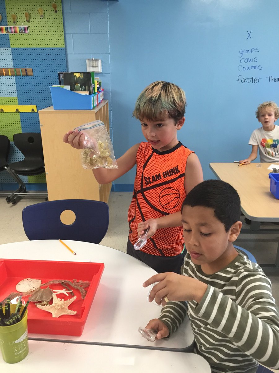 jessica_collins's tweet photo. #studio112 had a fantastic time in science today making observations! We looked at different kinds of bones, shells, coral, even some egg cases and honeycomb! So much deep discussion about the functions of things and comparisons to our human skeletons. #nhcschat #soaringeagles https://t.co/XHnCHhUPeq