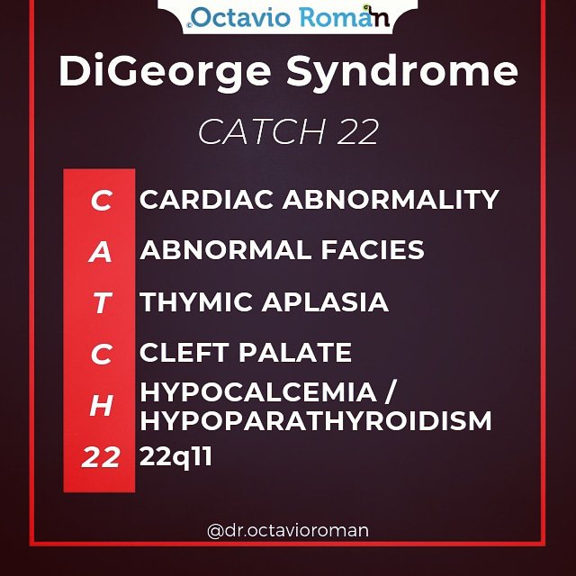 droctavioroman's tweet photo. Cardiac abnormality: interrupted aortic arch, truncus arteriosus, tetralogy of Fallot.
También llamado síndrome velocardiofacial (VCFS) y de Takao
#repaso #repasoenarm #enarm  #enarm2019 #repasomédico #medstudent  #flashcard #octavioroman  #GPC #catch22 #digeorgesyndrome #timo https://t.co/h3H5EovUFV