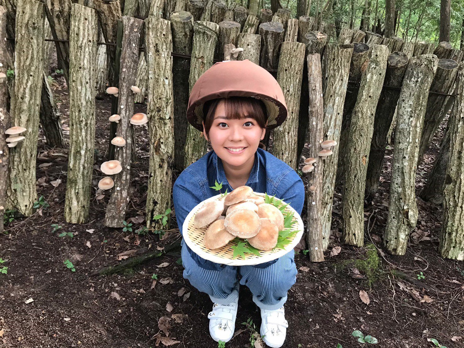 報道ランナー 関西テレビ きょう５時すぎ おでかけ中継 星奈のキラッと 週末のおでかけにピッタリな キラッ と輝く情報を 谷元星奈 アナウンサーが生中継でお届けします きょうは兵庫県 三田市 へ 肉厚でジューシーな 原木栽培の シイタケ
