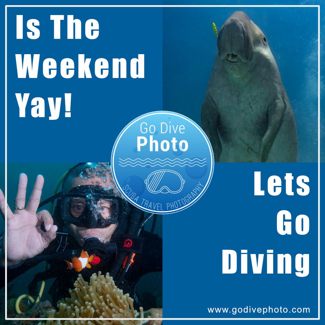PhotoDive's tweet photo. Have a great weekend!

#weekend #weekendgetaway #weekendfun #weekendadventures
#scuba #scubadiver #scubalife #philippinesdiving #travel #traveler #solotravel #outdoors  #uwphotography #photography #amanev https://t.co/T5rs3TYsR5