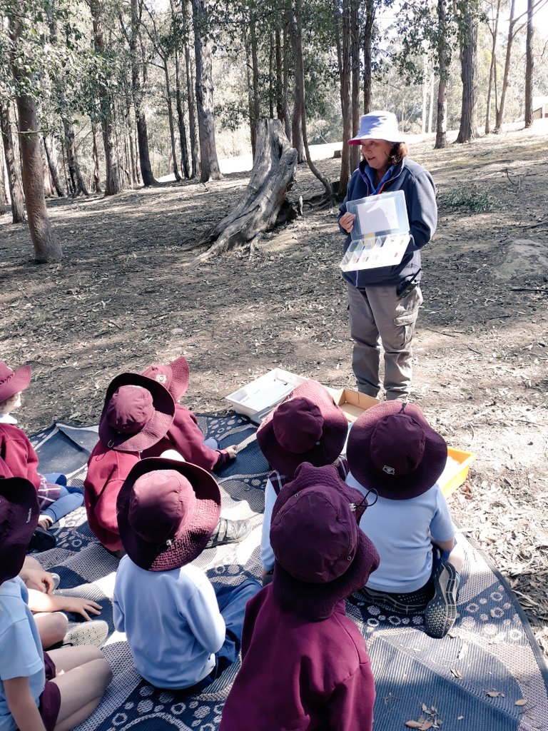 Martha__Pace's tweet photo. This week's highlight- the kids got to experience a birds, bugs and bush incursion! They loved finding bugs, making birds nests and exploring the beautiful bush in the school!  #acuedu_p https://t.co/LvUW7FYy4z