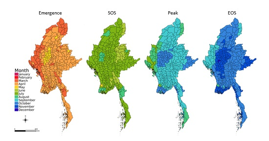 RemoteSens_MDPI's tweet photo. Monitoring #Rice #Agriculture across Myanmar Using #TimeSeries #Sentinel1 Assisted by #Landsat8 and #PALSAR2
by Nathan Torbick, Diya Chowdhury, William Salas and Jiaguo Qi
👉https://t.co/v0znTBtYB0
#FoodSecurity
#Myanmar
#RandomForest
#SAR
#RemoteSensing https://t.co/P6yqGhE9Hy