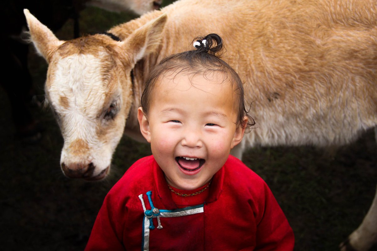 Tripnastic's tweet photo. ¿Buscando algo diferente? ¿Un viaje inolvidable y único? 
¡#Mongolia es tu lugar! 
Cuenta todavía con un alto porcentaje de población nómada. Limita con China y Rusia, teniendo fuertes influencias de ambos países pero con una cultura propia muy marcada.

https://t.co/fPLYcWELOY https://t.co/ID5AY4n9Fw