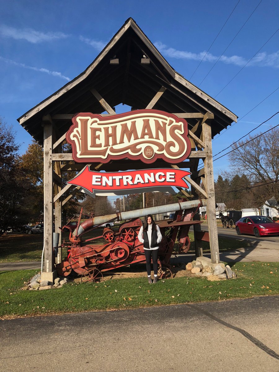 sl3017's tweet photo. @elonmusk Horse &amp; Buggy #amish and a #tesla https://t.co/9zbQTitiYk