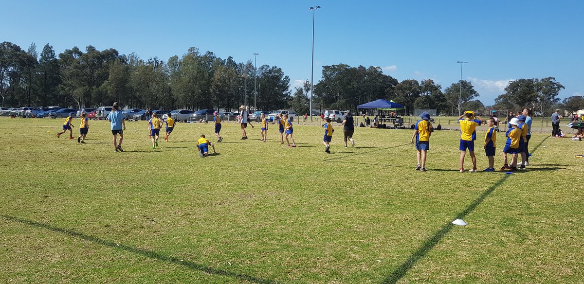 Kelly Grieve tweet media