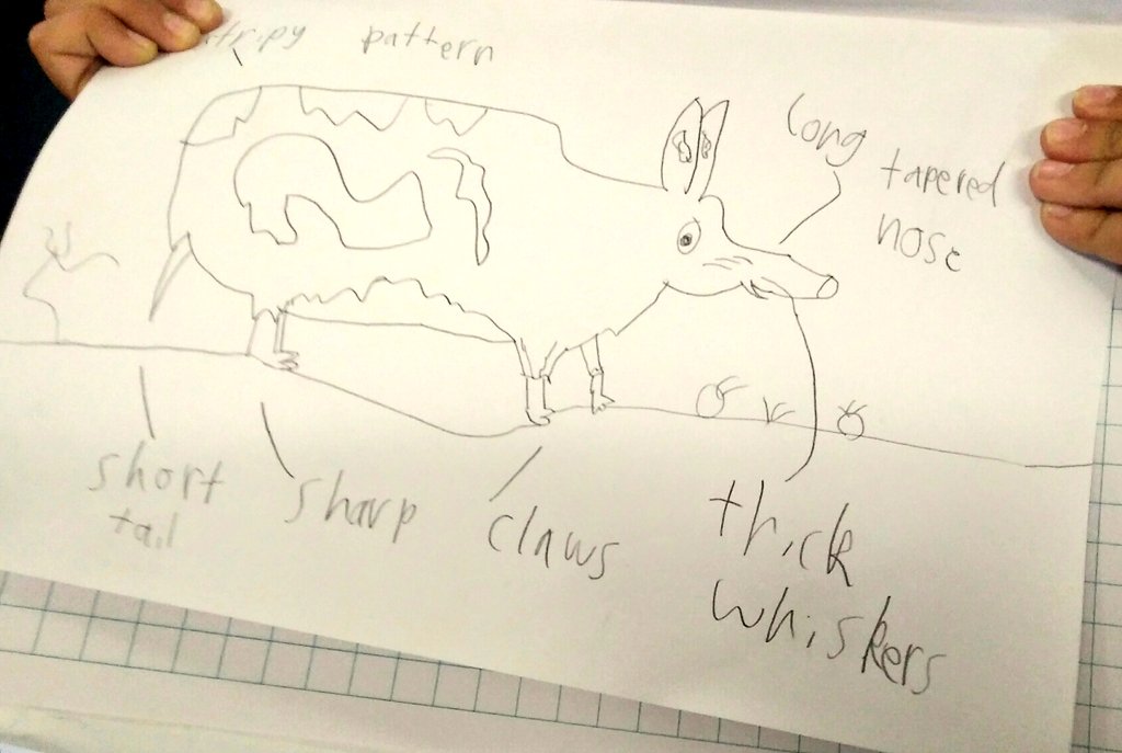 BNPSHub's tweet photo. Stage 1 are responding to "Bouncing Back: An Eastern Barred Bandicoot Story" and learning how to draw a labelled diagram. @BexleyNorthPS https://t.co/VM95Ine4ZK