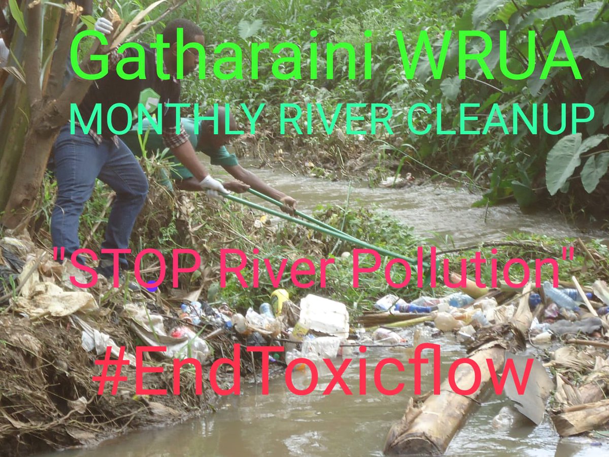 report_taka's tweet photo. 06:23 #WorldCleanUpDay2019 #EndRiverPollution #toxicflow @WRA_Kenya @NemaKenya @Environment_Ke Gatharaini River Monthly Cleanup..Happening Tomorrow at Kassani Simplicity CBO Area from 9am .. https://t.co/0o4IkrUqmJ via @kamanumbugua