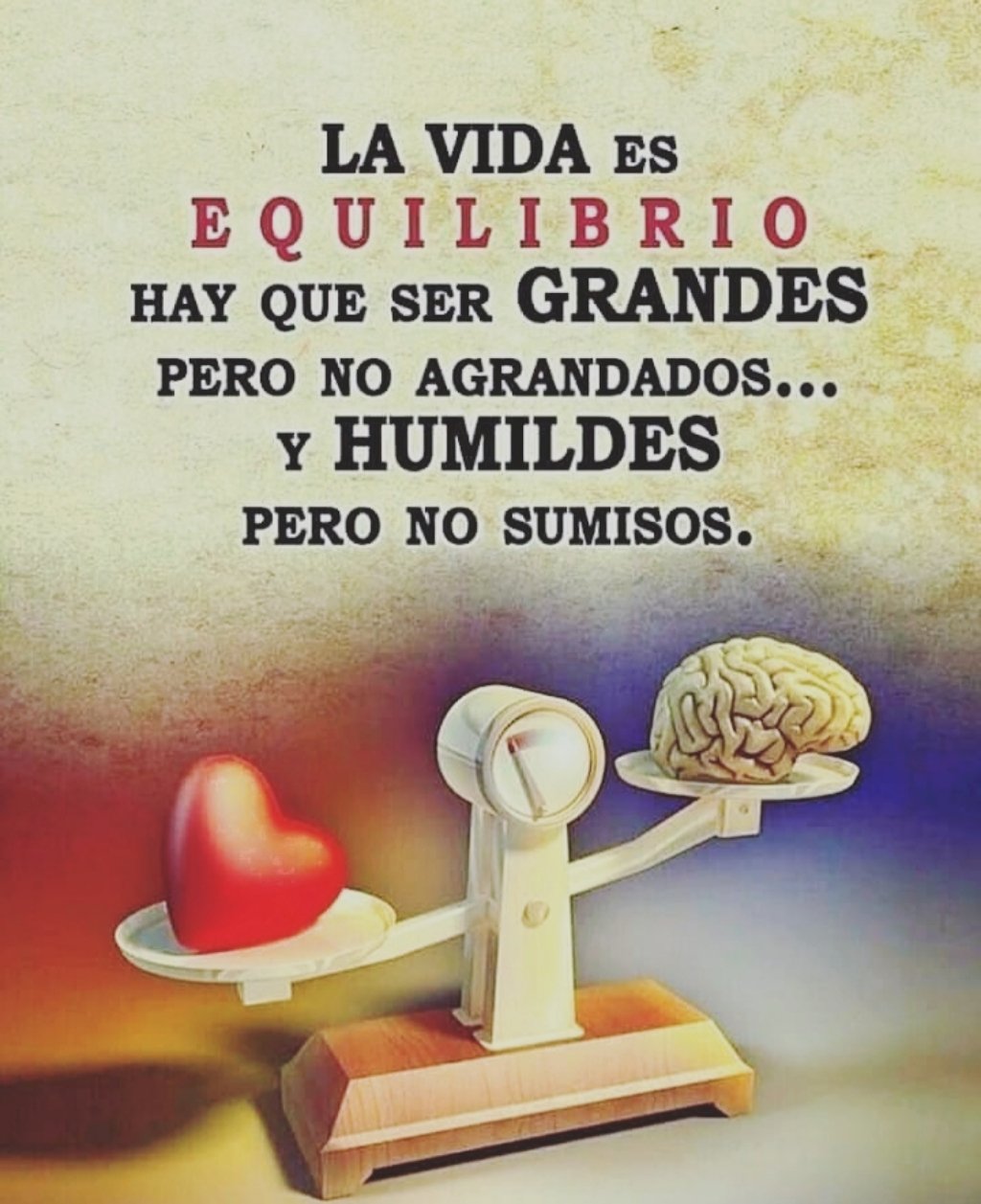 ❃Sofía❃ ツ в Twitter: „#frases #frasedeldia #reflexiones #consejodeldía #frasecelebre #reflexionesdiarias #reflexionesdevida #frasesmotivadoras #frasesparareflexionar #sabiduria /E1znddLXMy“ / Twitter ❃Sofía❃ ツ в Twitter: „#frases #frasedeldia #reflexiones #consejodeldía #frasecelebre #reflexionesdiarias #reflexionesdevida #frasesmotivadoras #frasesparareflexionar #sabiduria /E1znddLXMy“ / Twitter
