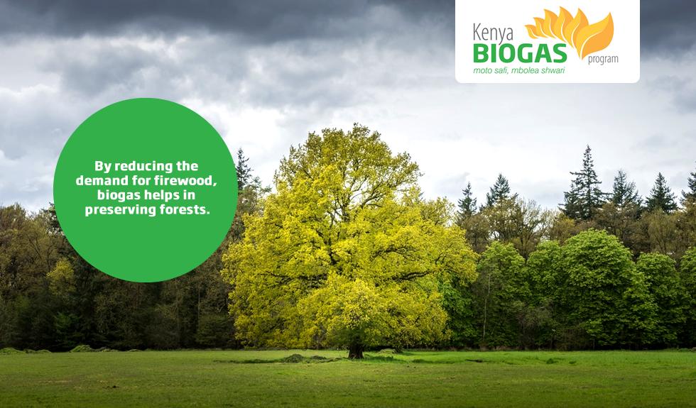 KBiogas's tweet photo. Forests keep global warming in check &amp; help maintain the water cycle. By reducing the demand for firewood, biogas helps in preserving forests. #KenyaBiogas #CleanEnergy https://t.co/tB5X9YdVH8