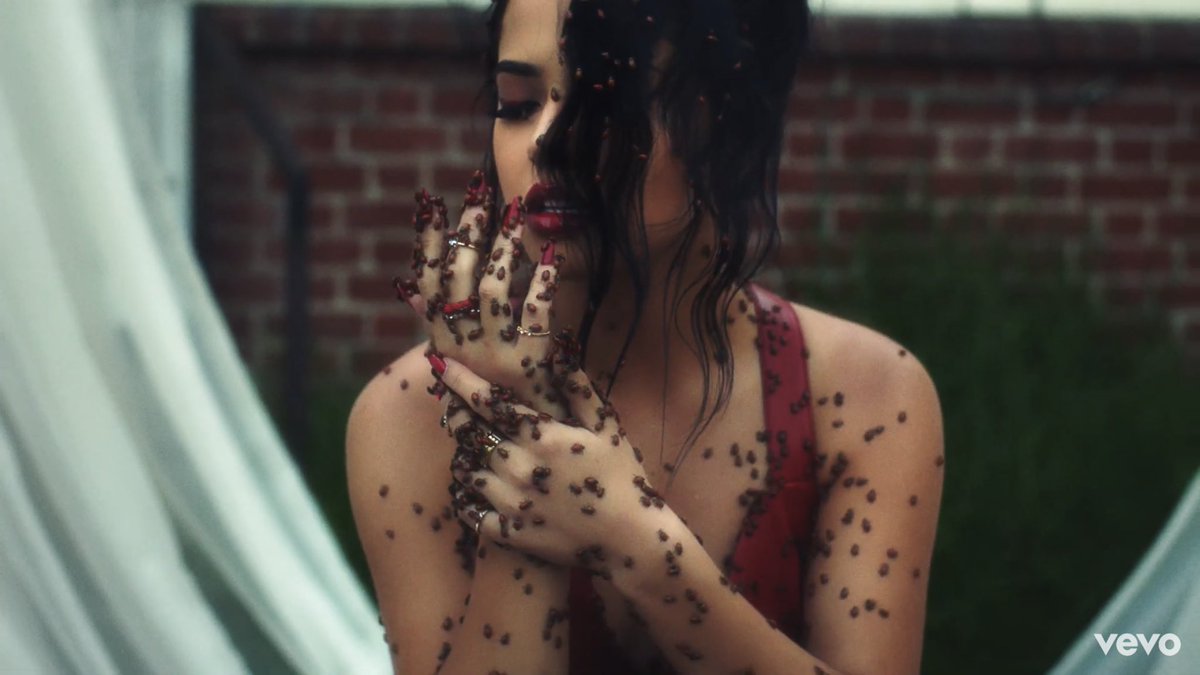 FredTheMFGoat's tweet photo. Such a amazing video well done @iambeckyg like legit best video of the year ππ»ππ»ππ»ππππ₯π₯π₯ #secerts https://t.co/blzi2Bb51P