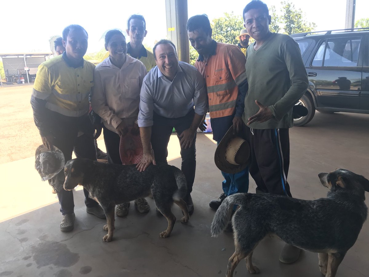 AusAmbDili's tweet photo. Brilliant to catch up with #TimorLeste seasonal workers at Tou’s Garden mango farm #Darwin - important contribution to Australian business and life changing opportunity for these Timorese workers.  And I’m not a bad mango packer!  #YourAmbassadors @SWP_TL @SWPAustralia @DFATNT https://t.co/Ivig34WDoO