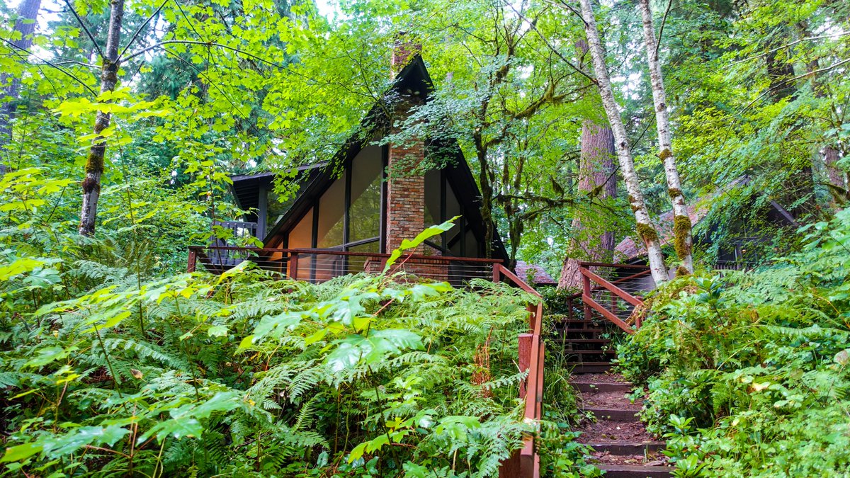 TempResidents's tweet image. Celebrating another lap around the sun 😎🥂 #Birthday #WillametteNationalForest #Oregon #TamolitchBluePool