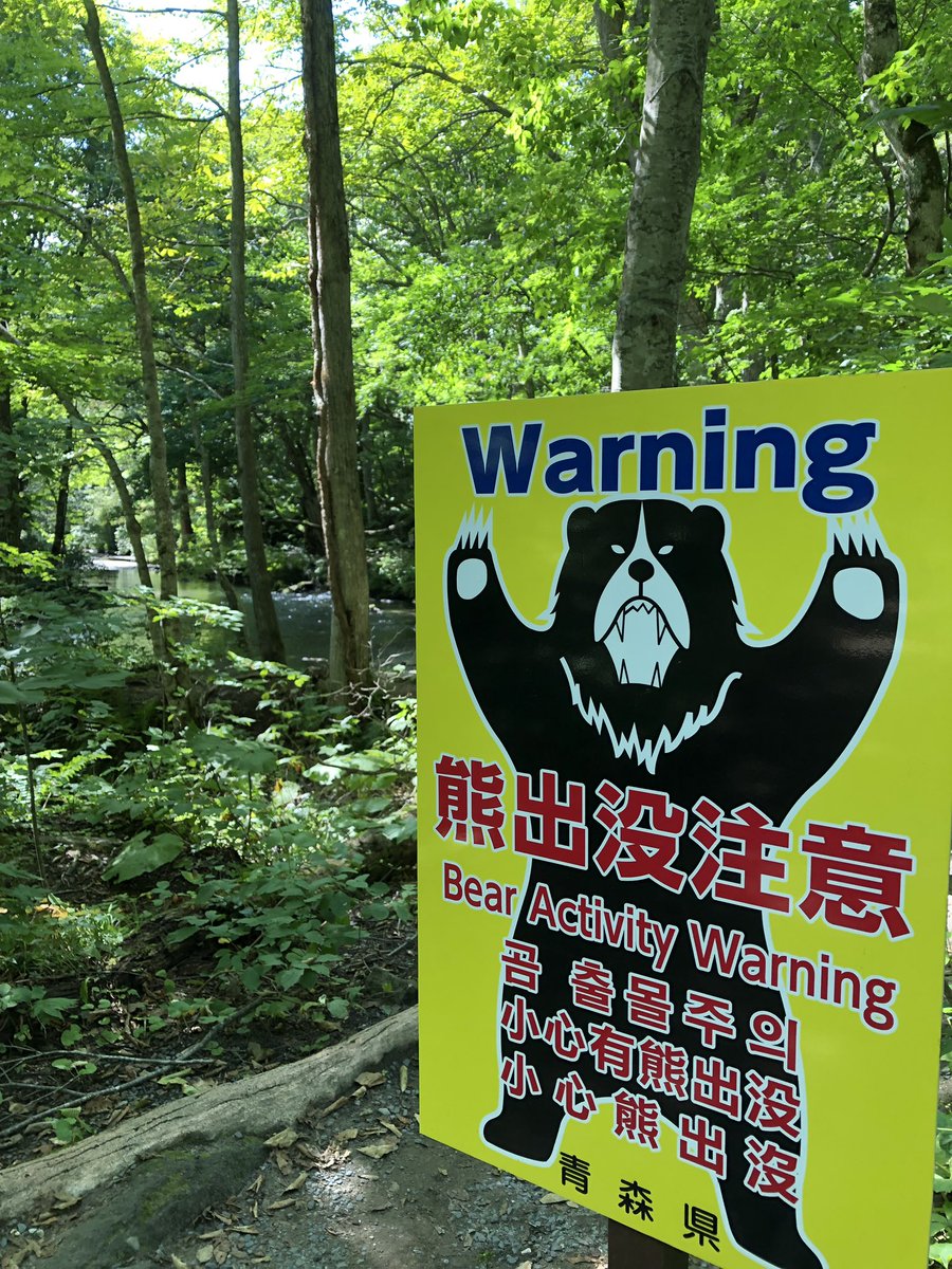 奥入瀬渓流エモすぎない? #東日本旅 