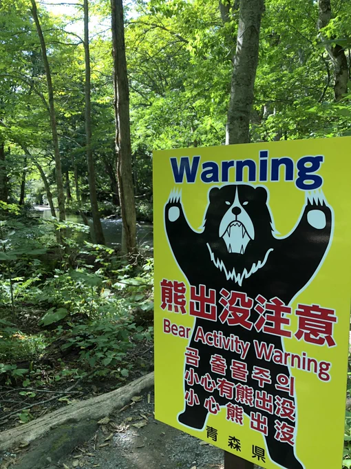 奥入瀬渓流エモすぎない? #東日本旅 