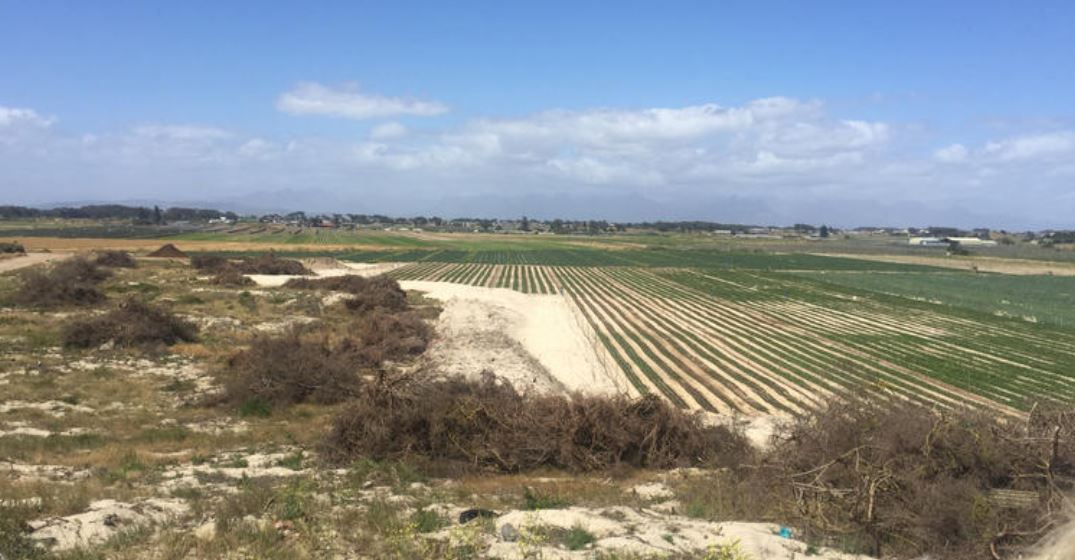 RealisingJustCities tweet media