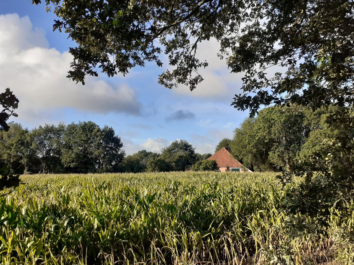 loshermanos56's tweet photo. Brood halen bij bakker Leta. #Veele https://t.co/cIJMpn4Pgd
