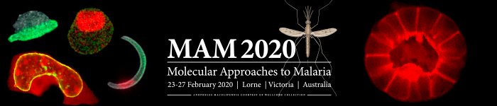 MAMLorne's tweet photo. #MAM2020 #Abstractsubmissions close in 3 weeks on 4 Oct 2019 #MAM2020program #malariaconference #molecular https://t.co/uK2WhA9ojO @TaniadKW @DrBoddey @FreyaFowkes https://t.co/SmhdpCnI8q