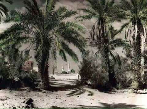 جب سے اترا ہے آپ کے دیدار کا وجدان
ہم سے خود کی بے تابی دیکھی نہیں جاتی
صلی اللہ علیہ وآلہ وسلم💞💞💞