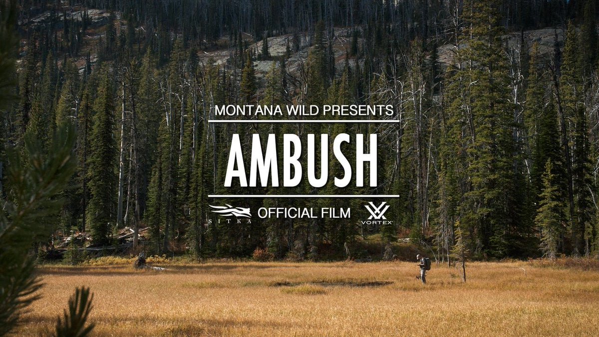 HunterVids's tweet photo. Flashback to a punctual elk hunt from 2012. Watch at: https://t.co/rZ9mQXKKbK #tbt #september #film #elk #bulls #adventure #diy #camping #hunting #hiking #bowhunting #archery #nature #wildlife #storytellers #flashback #footage #montanawild #huntervids https://t.co/ZPutMeXhnf