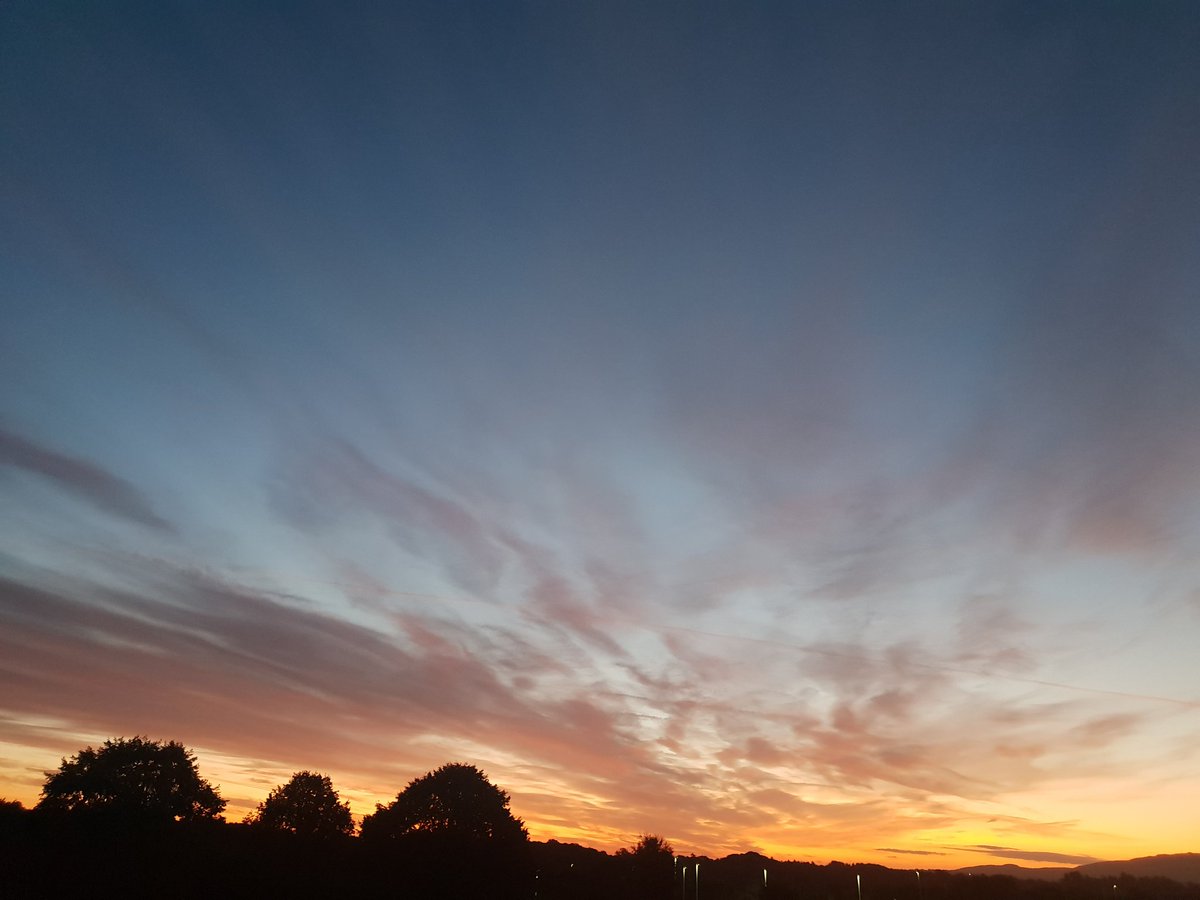 Peter Hynes 🐄🥛🇮🇪 tweet media