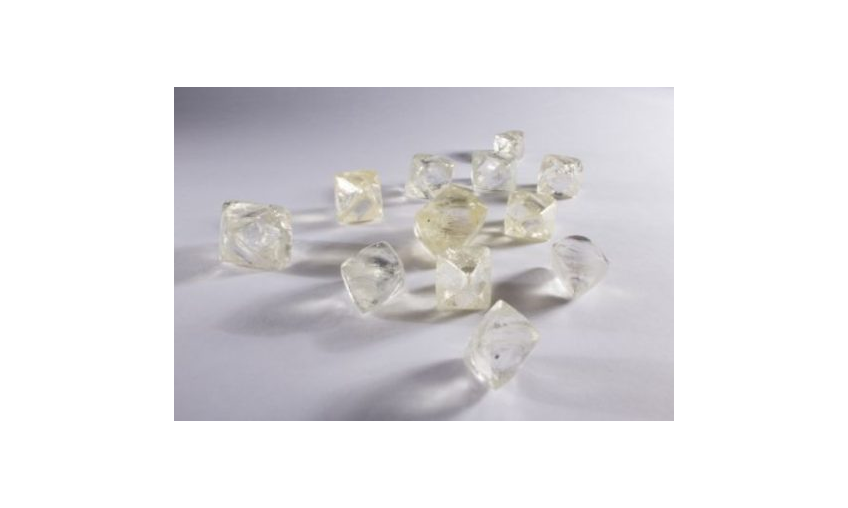 Shimmers & More tweet media