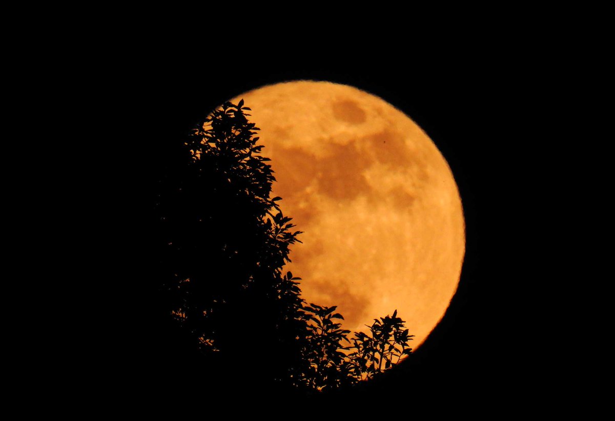 NasirTajir's tweet photo. There will be a full moon this Friday, which also happens to be, Friday the 13th. The next full moon to land on #FridayThe13th won't happen until 2049. https://t.co/MJ1xXWvTzz
